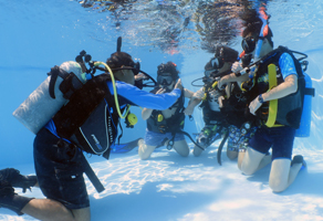 PADI Open Water Lite Diver Course 2